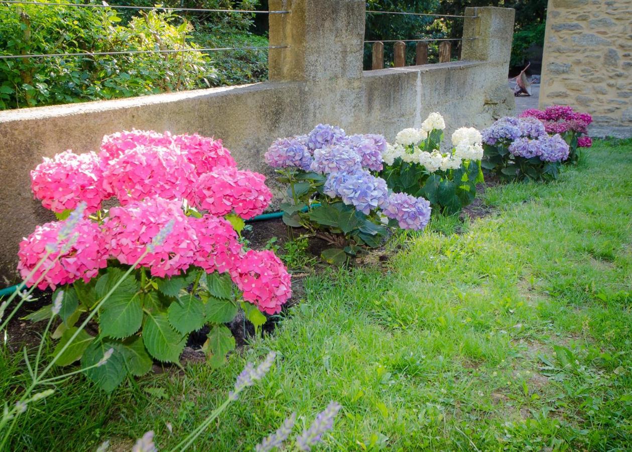 Bed and Breakfast La Jourdane Saint-Alexandre Номер фото